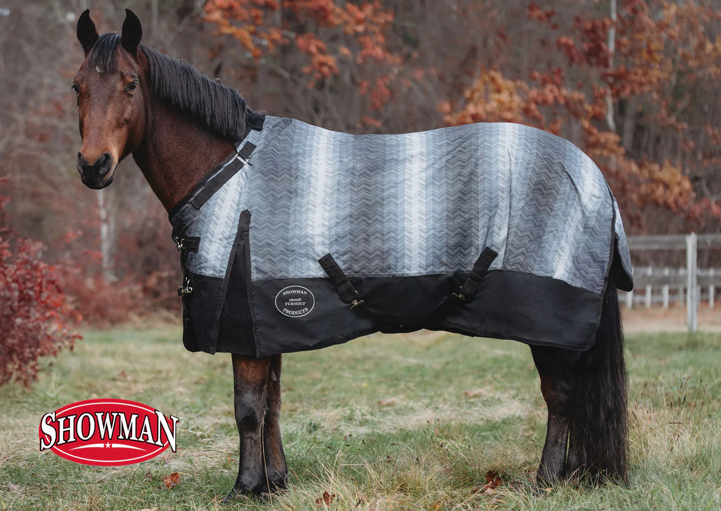 Premium Equestrian Gear For Less